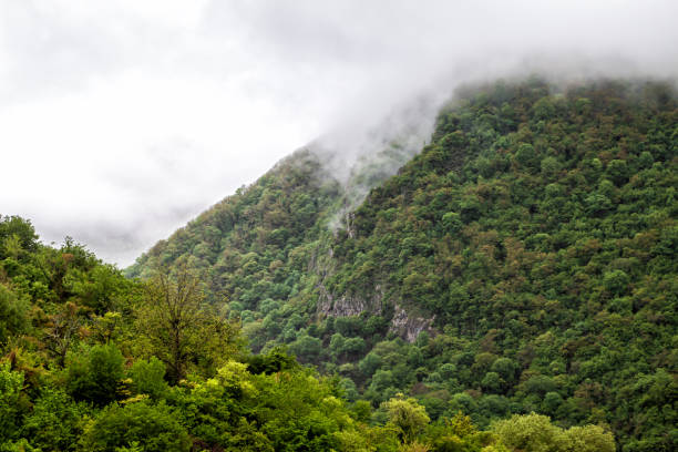 istock Mountain forest in rainy weather covered with low overcast clouds 1399701587
