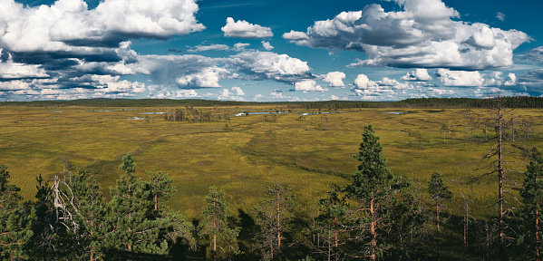 Scenic view of wetlands in Patvinsuo National Park, Finland, observed from a nature observation tower
