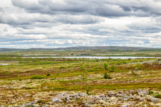 widok na płaskowyż górski z jeziorem na wyżynach szwedzkich - 44912 zdjęcia i obrazy z banku zdjęć