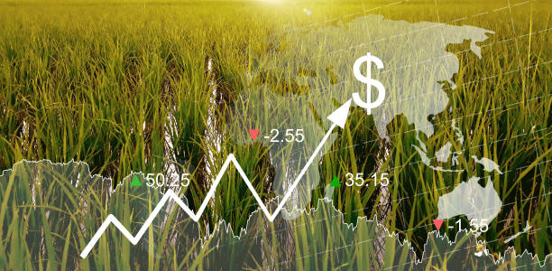 istock Global food crisis. 1399702716