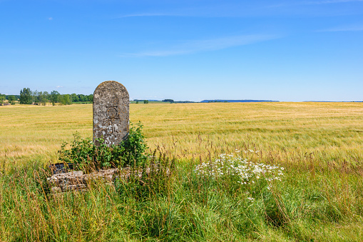 Cornfield view with a old milestone in the countryside