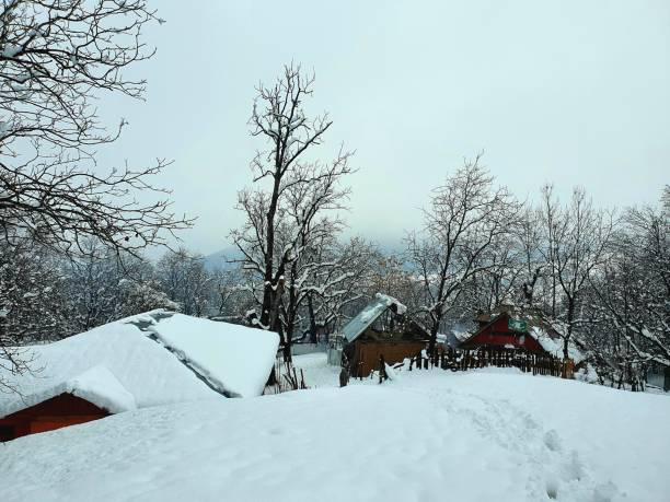 istock Heavy snow fall in Kashmir made whole valley white. 1399705431