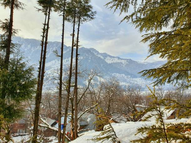 istock Heavy snow fall in Kashmir made whole valley white. 1399705758
