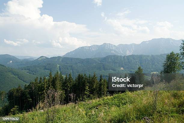 Austria - Fotografie stock e altre immagini di Acqua - Acqua, Aiuola, Albero