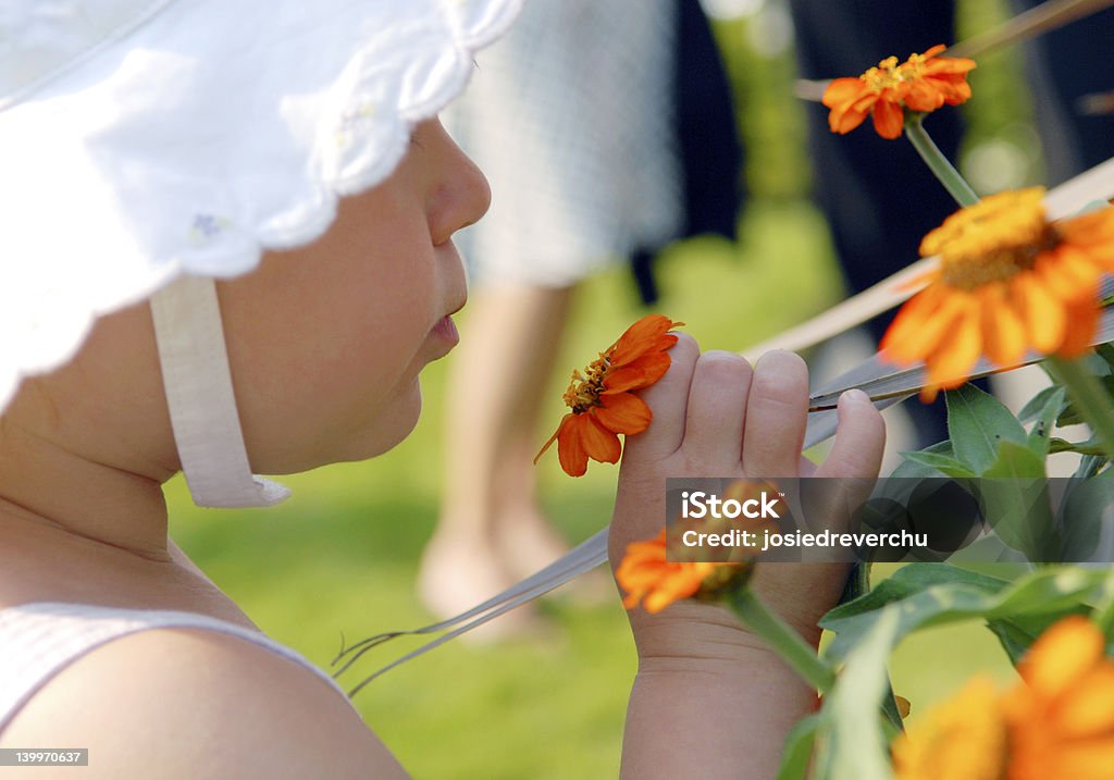 Zapach kwiatów - Zbiór zdjęć royalty-free (Biały)