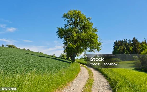 On The Way In The Rural Area Of Upper Austria Stock Photo - Download Image Now