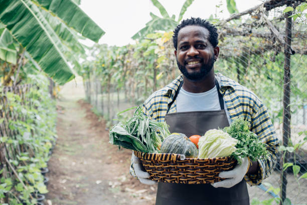 istock Smiling gardener holding a basket of vegetables 1399707770