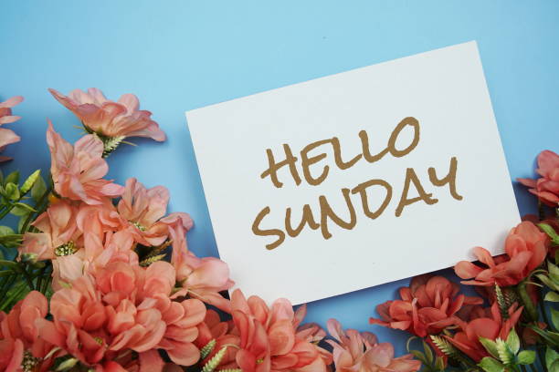 istock Hello Sunday text with Pink Flower frame on blue background 1399710815