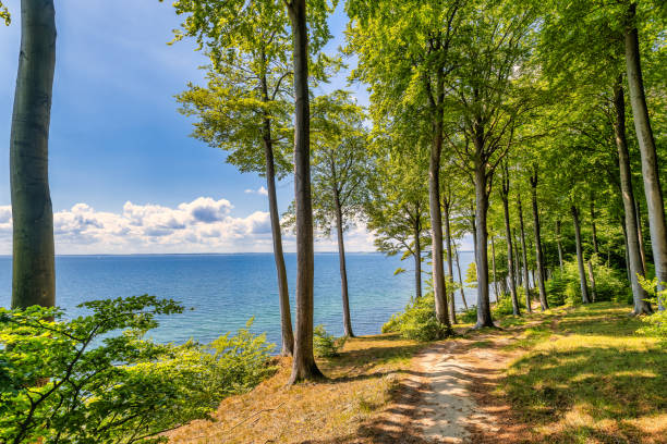 istock Danish Gendarmsti walking path at Flensborg fjord in Denmark 1399715592