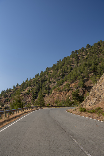 View down road center along curving, angled road surface with forested mountainside under clear blue sky. Photo taken in NW Cyprus in Paphos forest. Nikon D750 with Nikon 24-70mm ED VR zoom lens