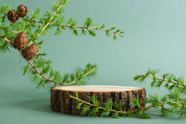 istock Podium with a larch branch and a cone on a green background. 1399719511