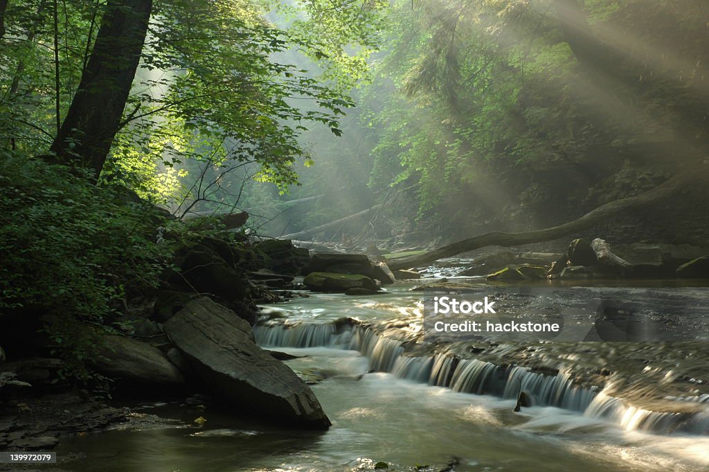 Sunbeams shining through foliage onto a forest stream Sunbeams light up a wooded creek Ohio Stock Photo