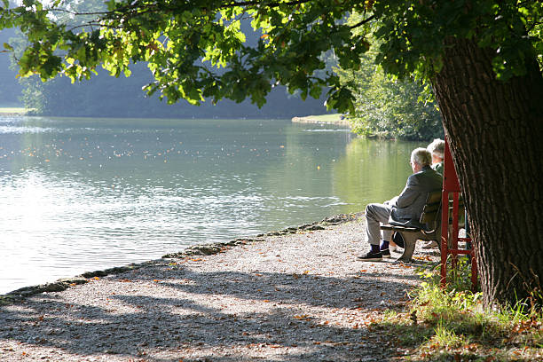Seniors in the park A senior couple in the park, sitting on a bench under the tree of life. senior adult women park bench 70s stock pictures, royalty-free photos & images