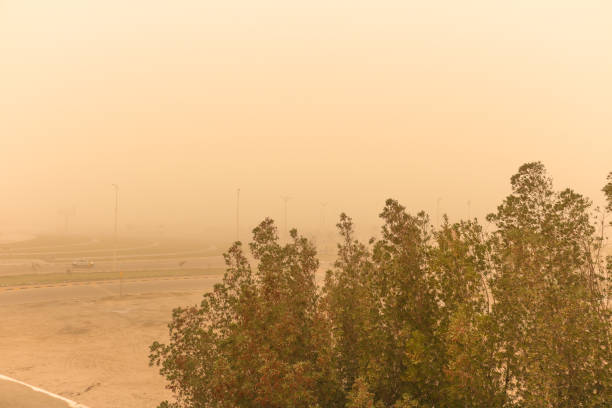 the sand storm in desert dust in the air