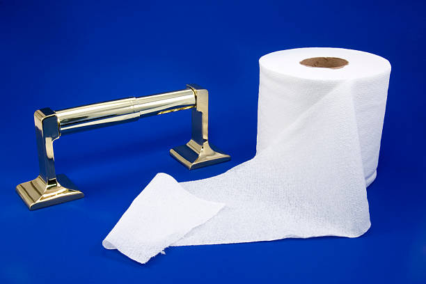 Toilet paper roll and dispenser stock photo