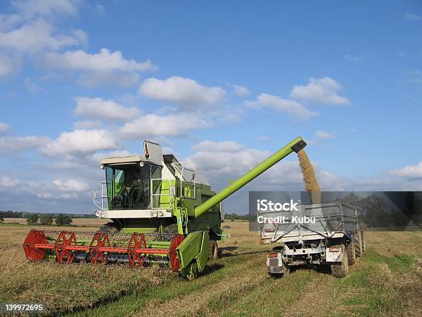 Combinar Foto de stock y más banco de imágenes de Agricultura - Agricultura, Aire libre, Alimento