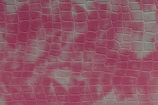 Reptile skin texture pink and purple.