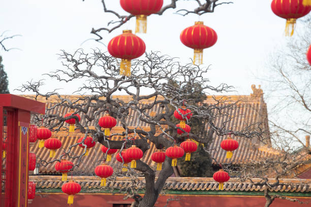 istock Red Chinese lanterns hanging on trees in a park 1399729537