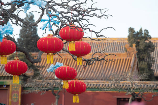 istock Red Chinese lanterns hanging on trees in a park 1399729548