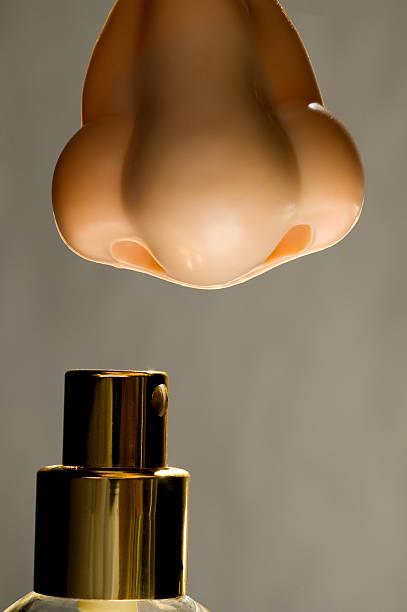 Nose & Perfume stock photo