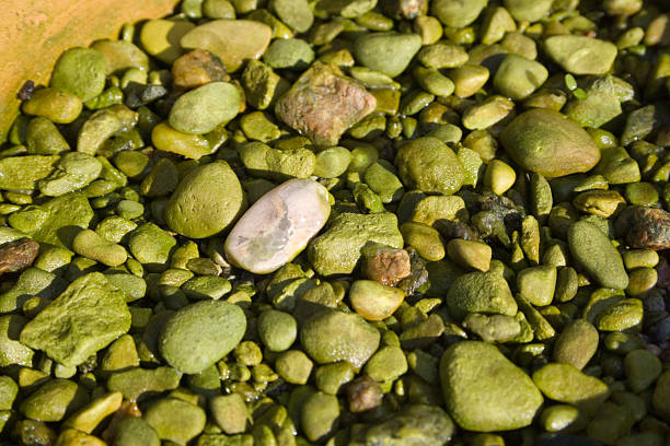 Pebbles stock photo