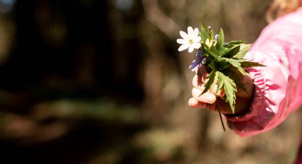 istock Banner with child hand holding spring flowers. Copy space. Harmony, tenderness concept 1399730810