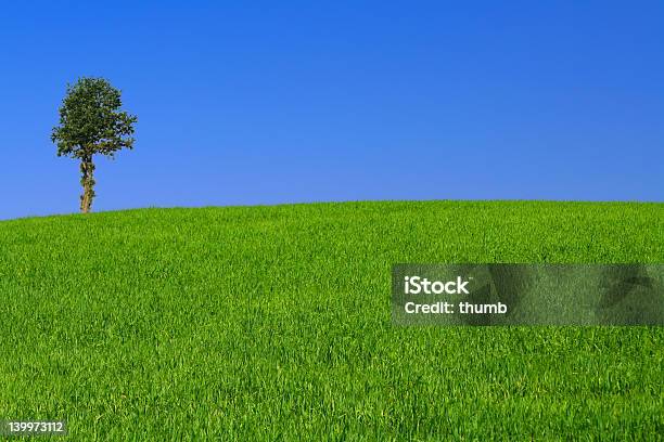 Photo libre de droit de Paysage Avec Arbre Solitaire Gorgeus banque d'images et plus d'images libres de droit de Agriculture - Agriculture, Arbre, Arbre à feuilles persistantes