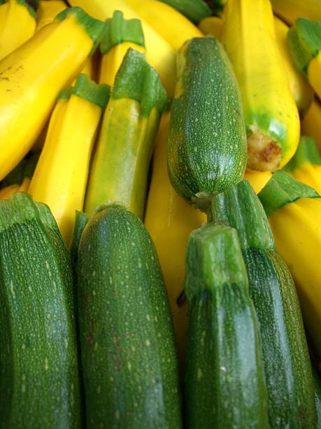 Squash stock photo