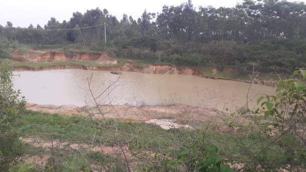 istock pond filled with muddy water 1399733701