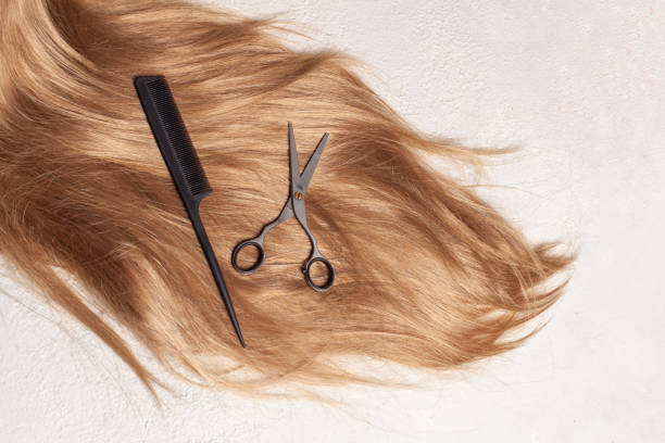 istock Brown hair, comb and scissors on white background 1399738593