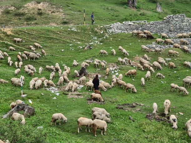 istock Gulmarg kashmir beautiful landscape 1399739383