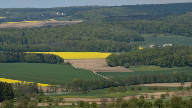 istock Landscape with rapeseed fields from a bird's eye view 1399739510