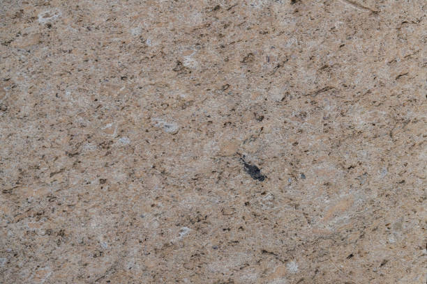 Close up of a stone texture. Stone macro background.