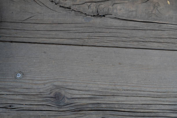 Old wood background. Natural wooden texture.