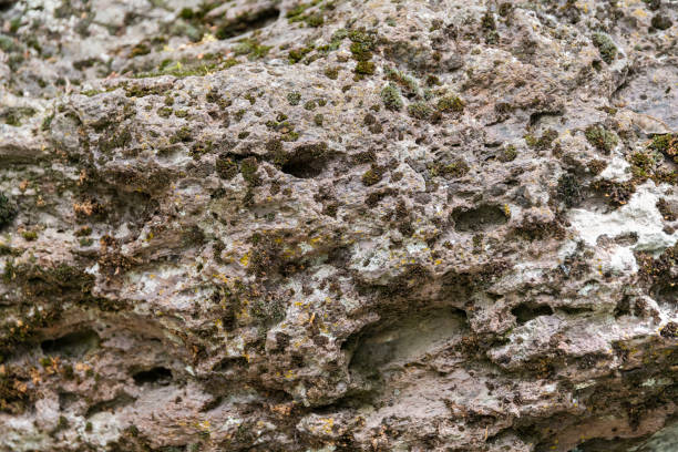 Texture of the rock  wall stone.