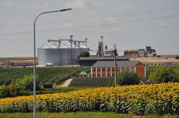 istock Agrarian industrial landscape 1399743358