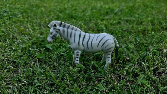 Zebra Wild animals cartoon kid toys, school children uses in practical's wildlife animals toys.