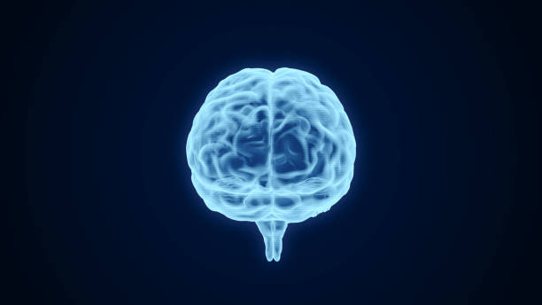 istock Human brain transparent scan 3D rendering, futuristic digital mind neural network intelligence concept, AI technology 1399743686