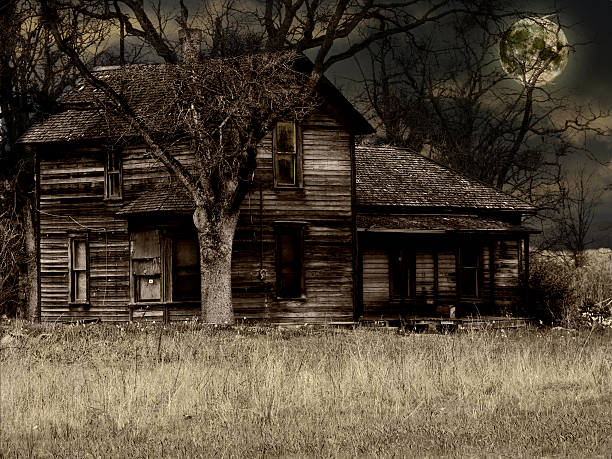 istock Haunted house isolated on an abandoned lot 139974701