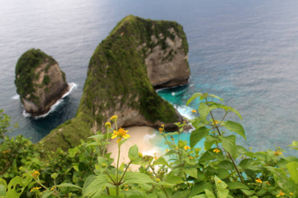 istock Kelingking Beach View, Nusa Penida. 1399747143