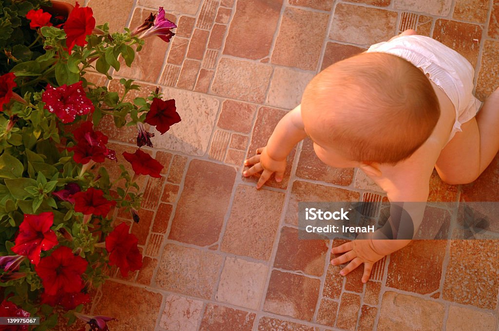 Bébé avec un plan - Photo de Bébé libre de droits