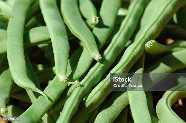 Grüne Bohnen Stockfoto und mehr Bilder von Abnehmen - Abnehmen, Agrarbetrieb, Baum