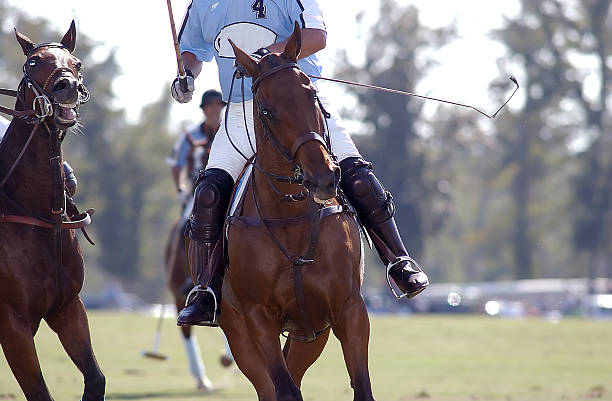 istock Polo rider  coming through 139975092