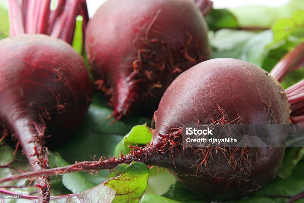 Beet. Red beet on green leaves. Beet Stock Photo