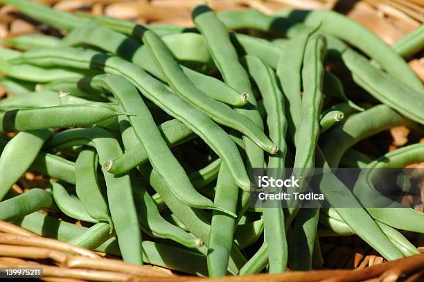 Green Beans Stock Photo - Download Image Now - Agriculture, Bean, Crop - Plant