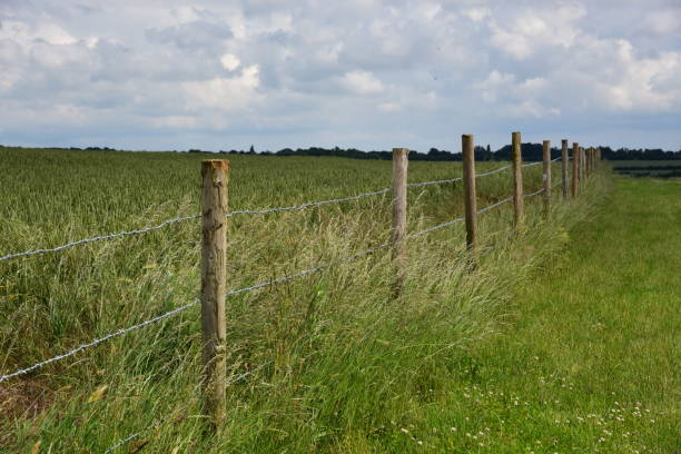 istock English meadow in summer 1399752928