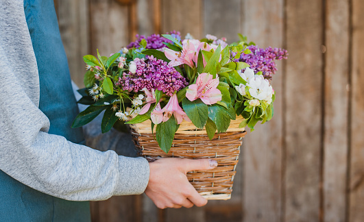 Florist made a floral arrangement wicker basket . Florist woman prepare a floral arrangement for congratulations holiday event.