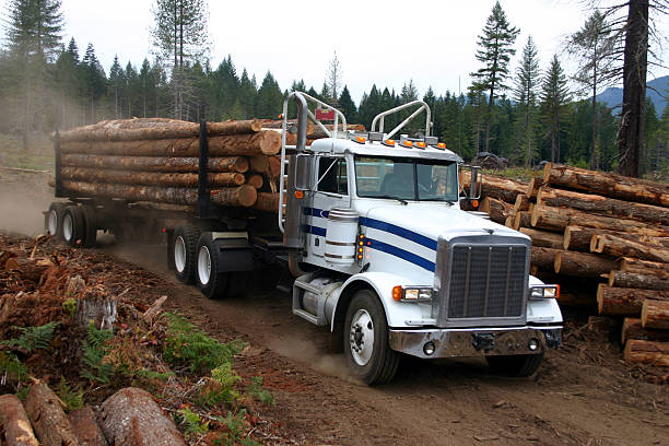로깅 배달차 - lumber industry truck truck driver log 뉴스 사진 이미지