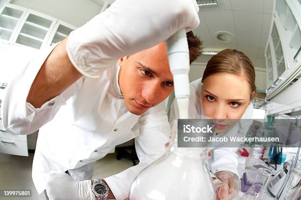 Cientistas De Trabalho - Fotografias de stock e mais imagens de Cientista - Cientista, Entubar, Laboratório