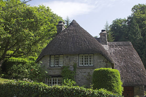 istock Thatched cottage in rural landscape 139975842